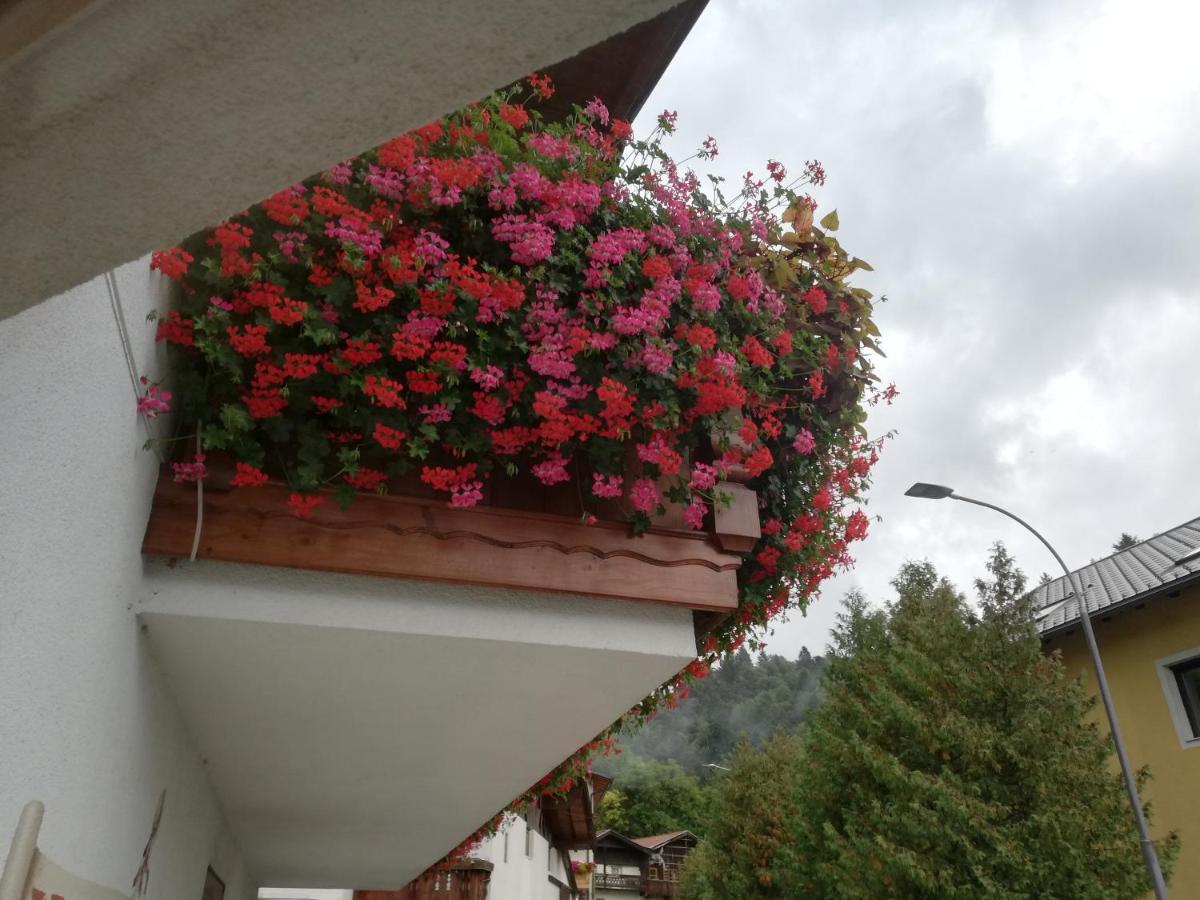 Haus Georg Apartment Innsbruck Exterior photo